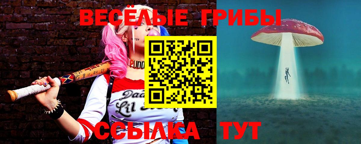Соль-Илецк  Псилоцибиновые грибы прущие грибы  Вход с VPN 
