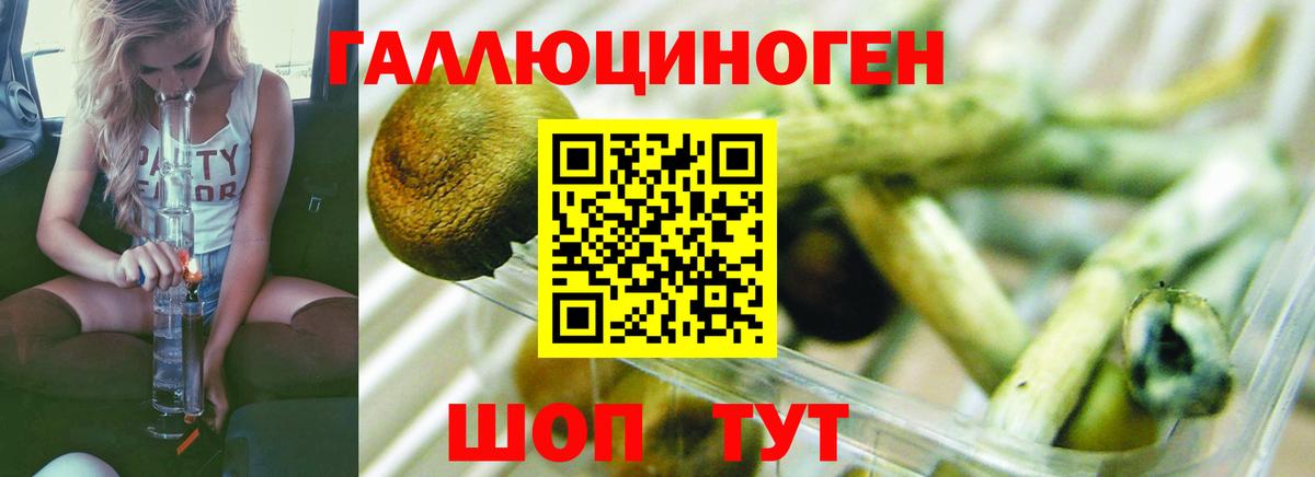 Галлюциногенные грибы прущие грибы Соль-Илецк